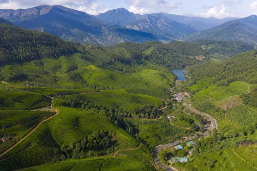 Munnar Hill