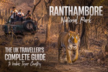 Ranthambore national park