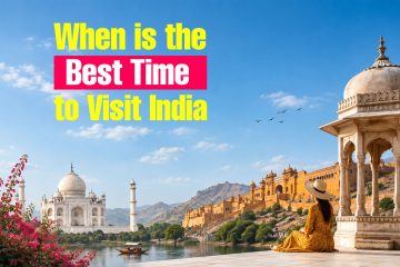 Best Time to Visit India